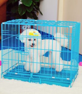 Chuồng lồng sắt tĩnh điện cho chó mèo Pet Nha Trang