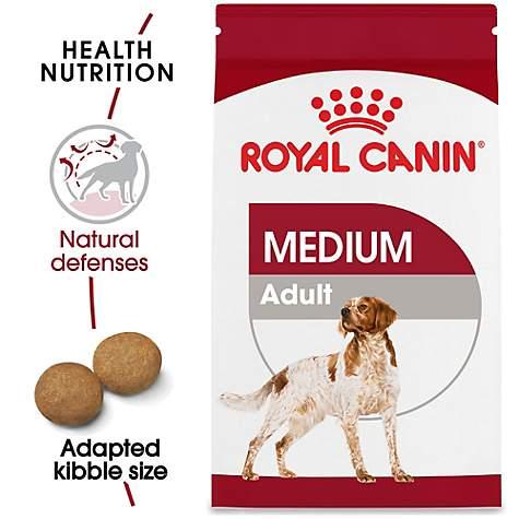 Thức Ăn Chó Royal Canin Medium Adlut Pet Nha Trang 
