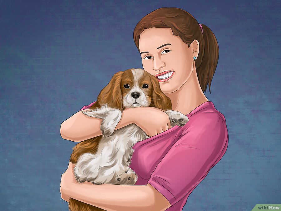 Cách Để Chăm Sóc Chó Mẹ Sau Khi Sinh Pet Nha Trang 