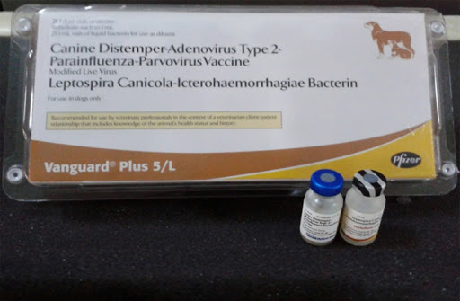 Vaccine cho chó 6 bệnh Vanguard Plus 5/L