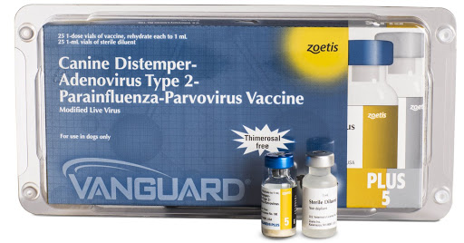Vaccine cho chó 5 bệnh Vanguard Plus 5