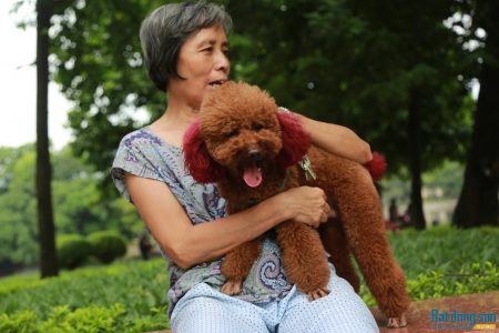 Lợi ích của việc nuôi chó mèo ở người già