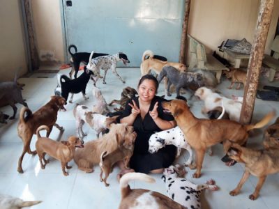 Những thú cưng cần được lưu ý tại các trạm cứu hộ chó mèo