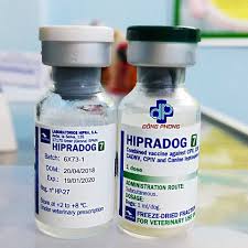 Vacxin 7 bệnh cho chó bao nhiêu tiền, loại nào tốt?