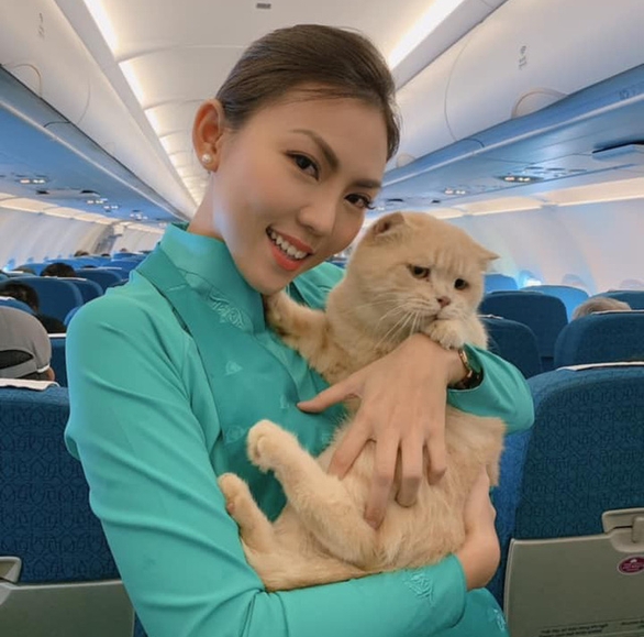 4 Mẹo đi du lịch cùng thú cưng bằng máy bay 4 đi du lịch cùng thú cưng bằng máy bay